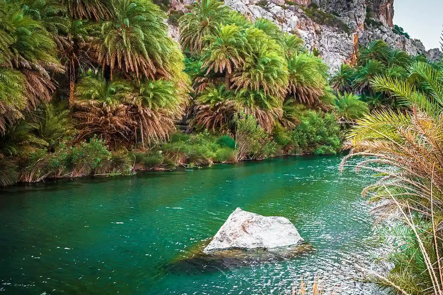 Preveli Beach & Palm Forest