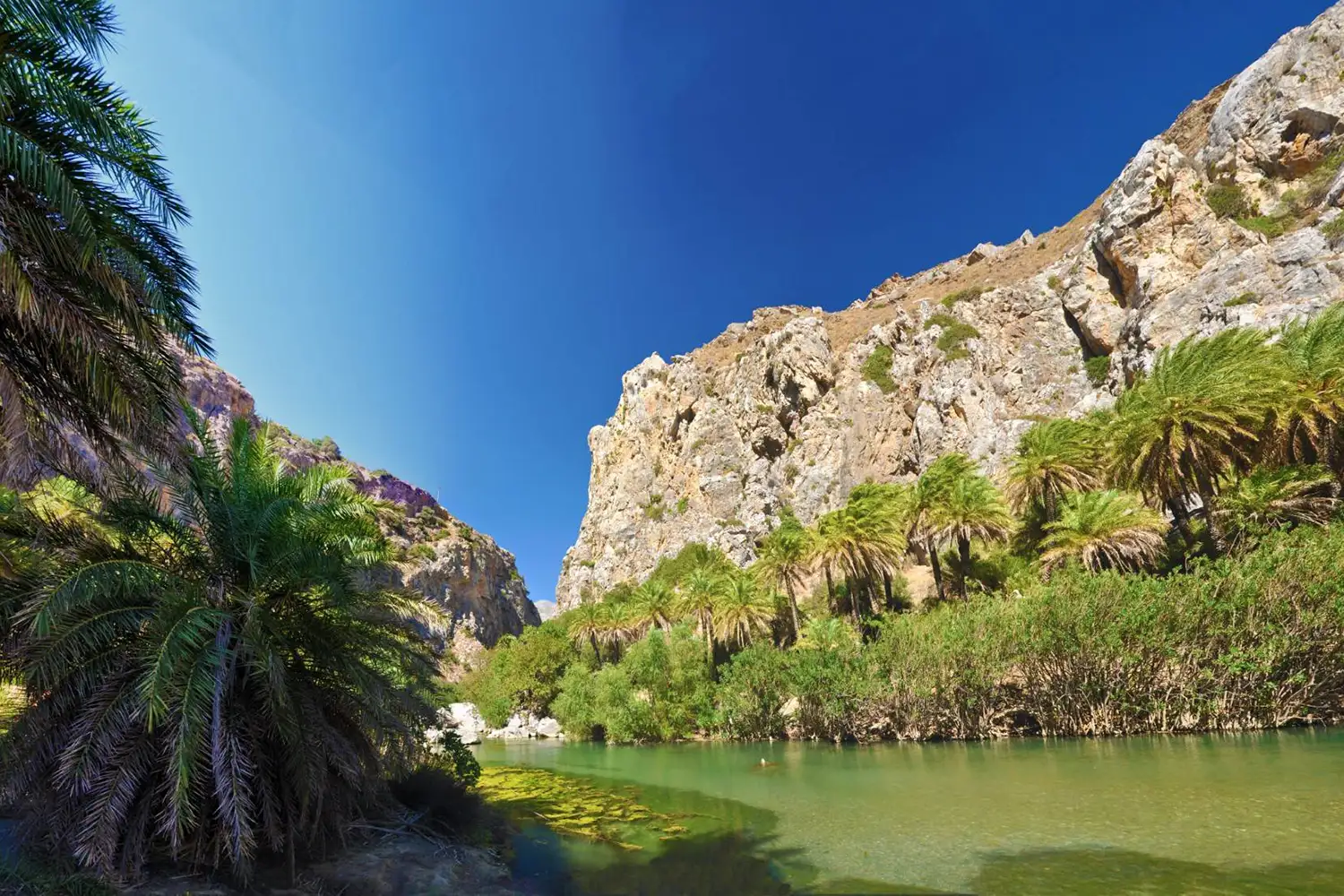 Preveli Beach & Palm Forest