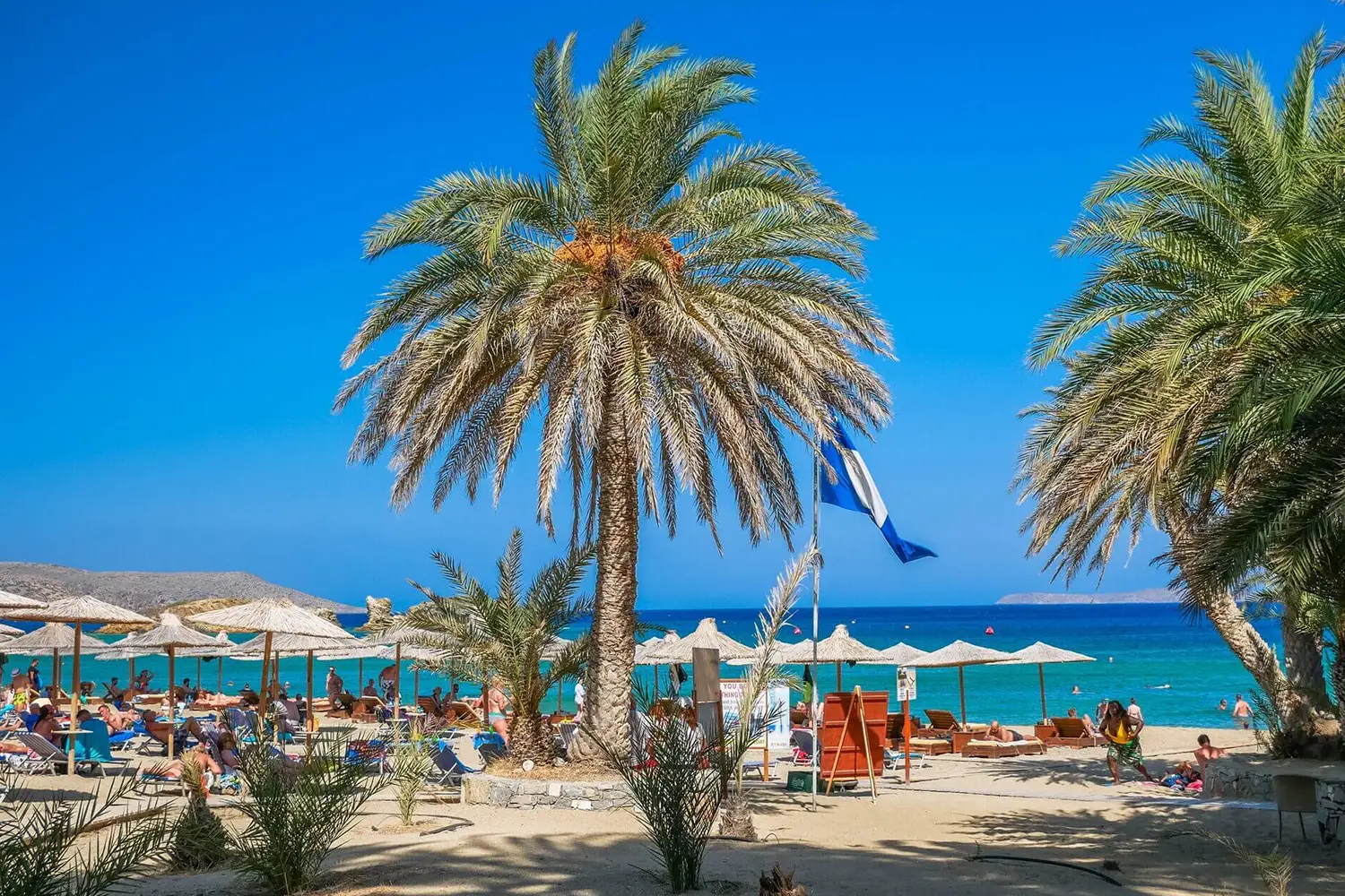 Vai Palm Beach Crete