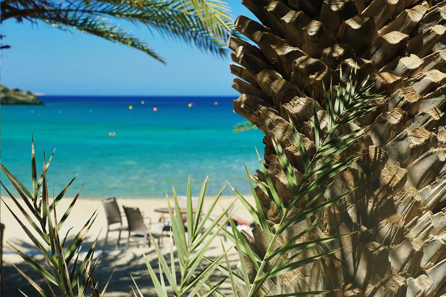 Vai Palm Beach Crete